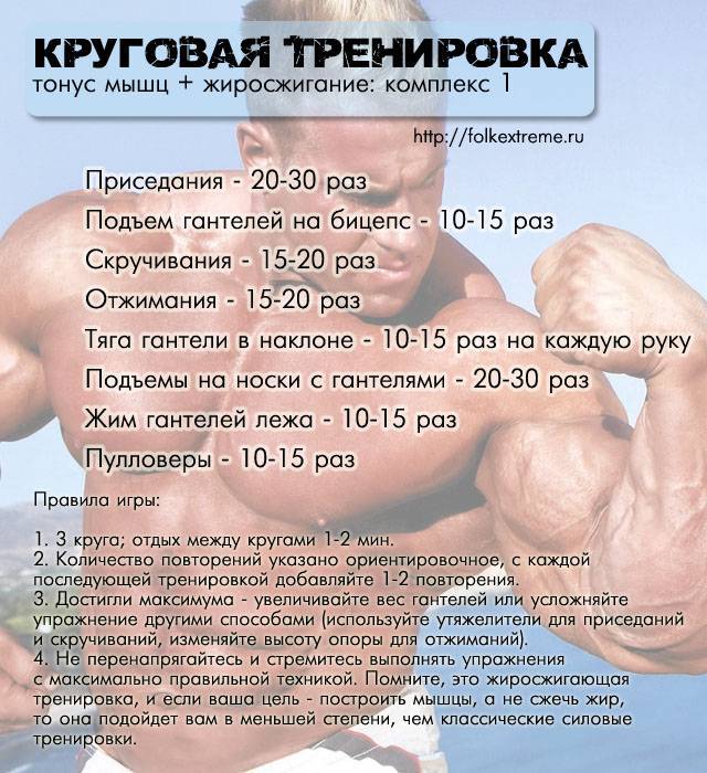 Кардио тренировка план