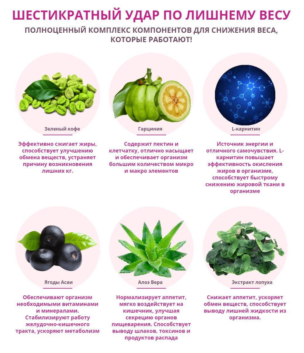 Что такое л-карнитин и как его правильно принимать для похудения