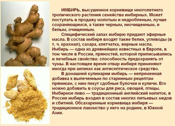 Имбирь для печени: полезен или вреден, лечебные свойства