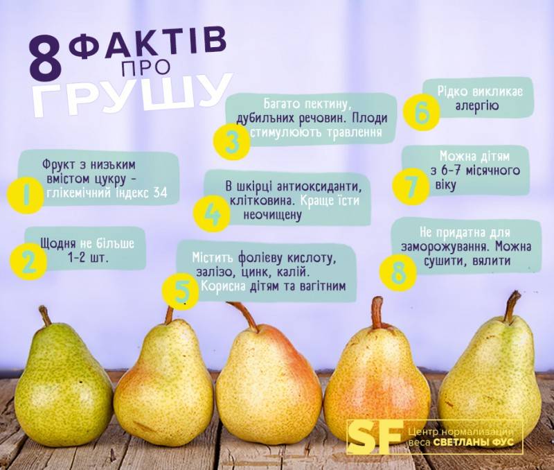 Польза и вред груши для организма человека | польза и вред