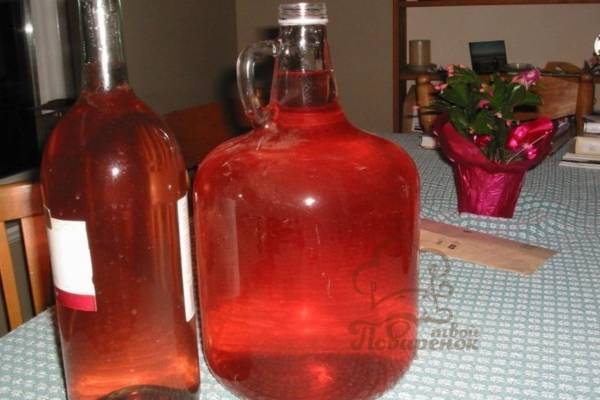 Рутбир (корневое пиво): что это + три рецепта в домашних условиях