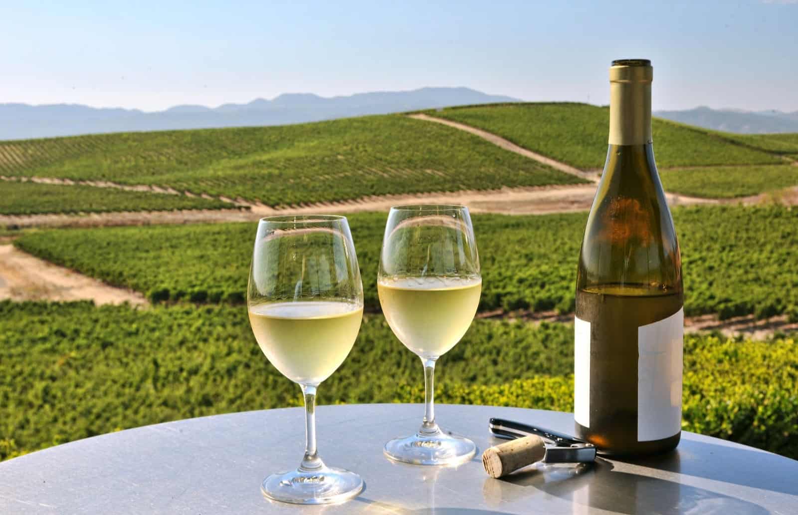 Вино сира: где делают, вкус, как и с чем пить + 5 фактов