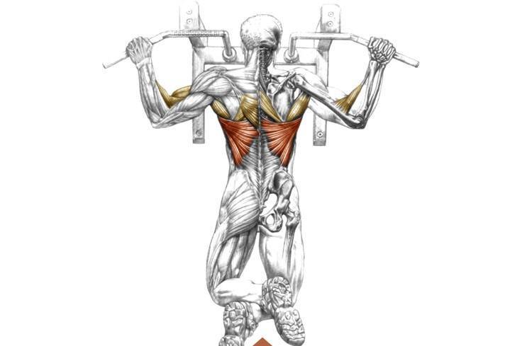 Как накачать плечи