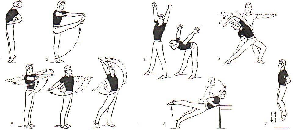 Комплекс упражнений для утренней зарядки