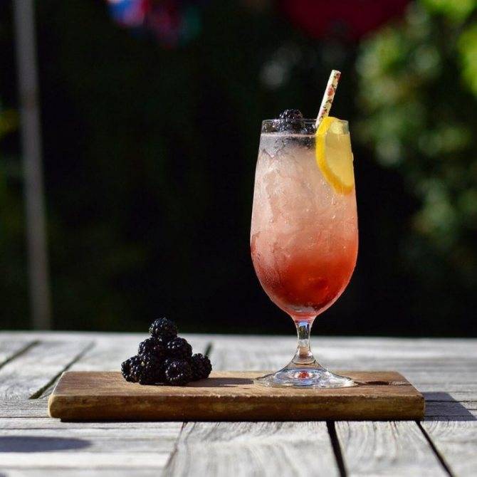 Коктейли с шампанским: 22 игристых рецепта | koktejli.ru