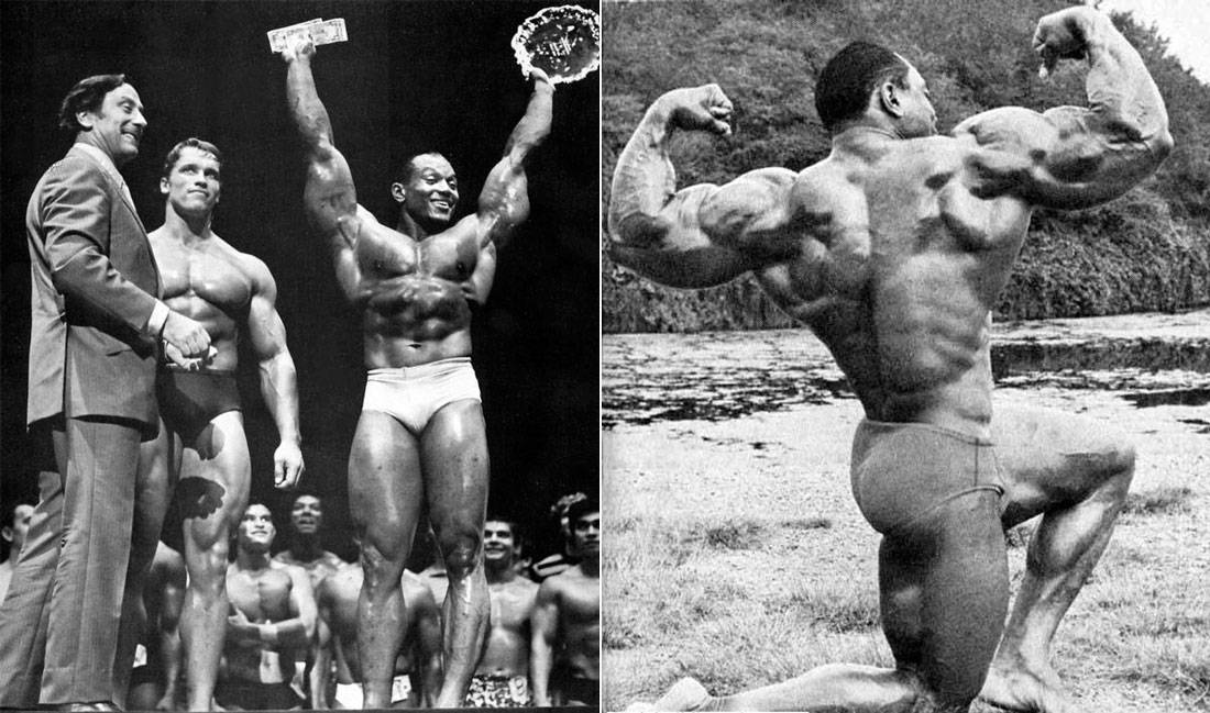 Лу ферриньо