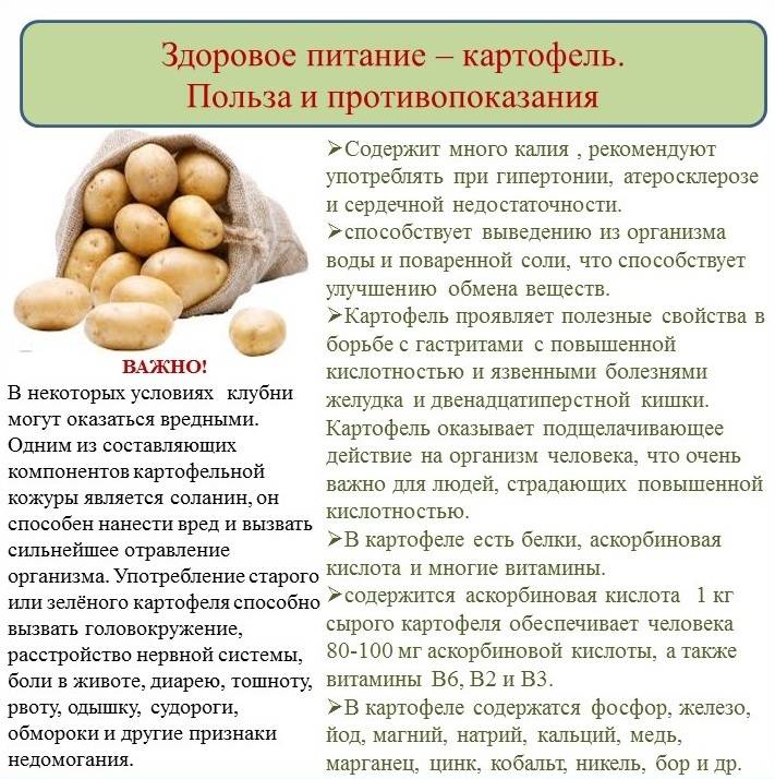 Запеченный картофель калорийность и польза