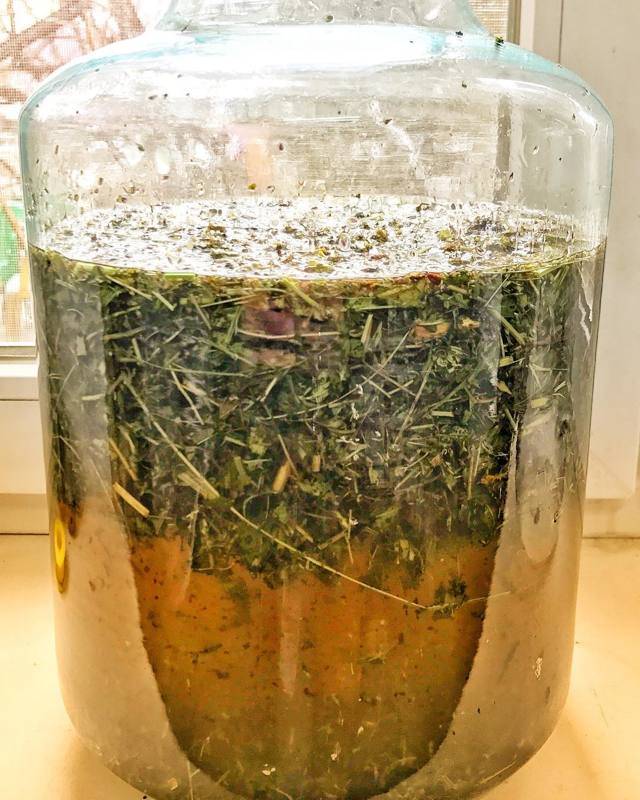 Самые вкусные настойки на самогоне: лучшие лечебные рецепты