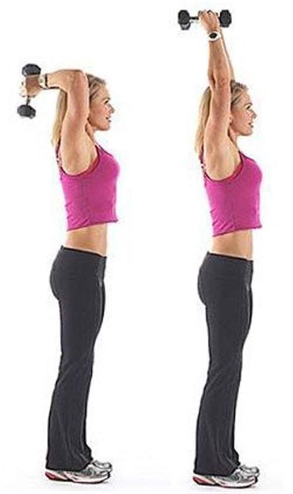 Упражнения для трицепсов для девушек в домашних условиях
