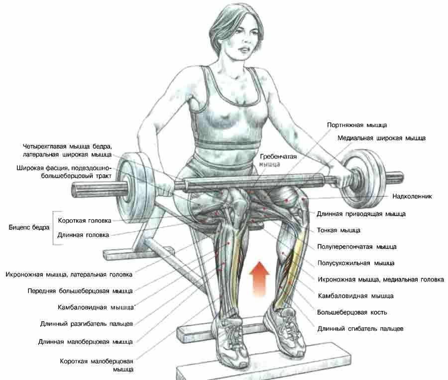 Подъем штанги на грудь