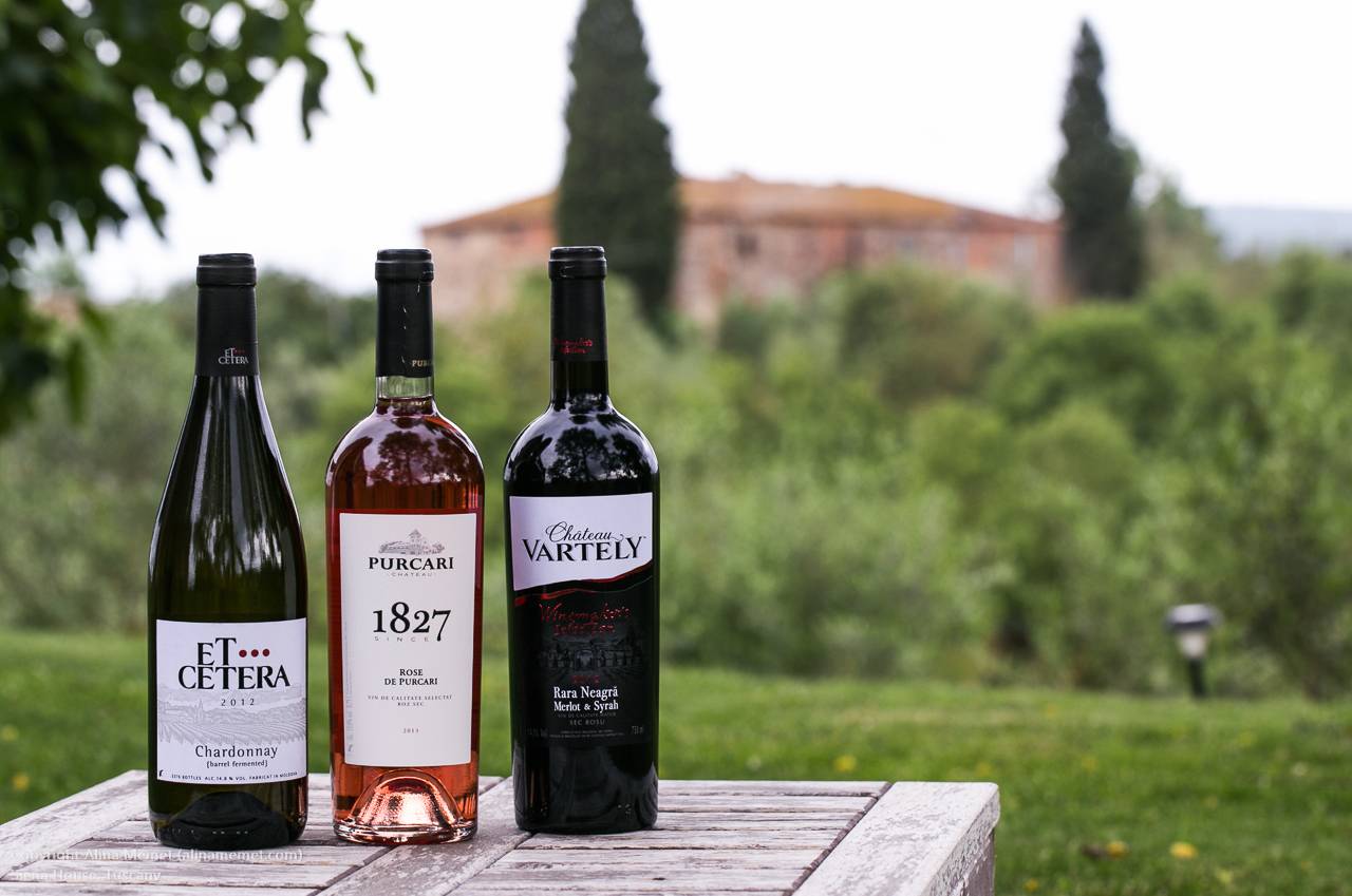 Обзор марок и видов молдавских вин