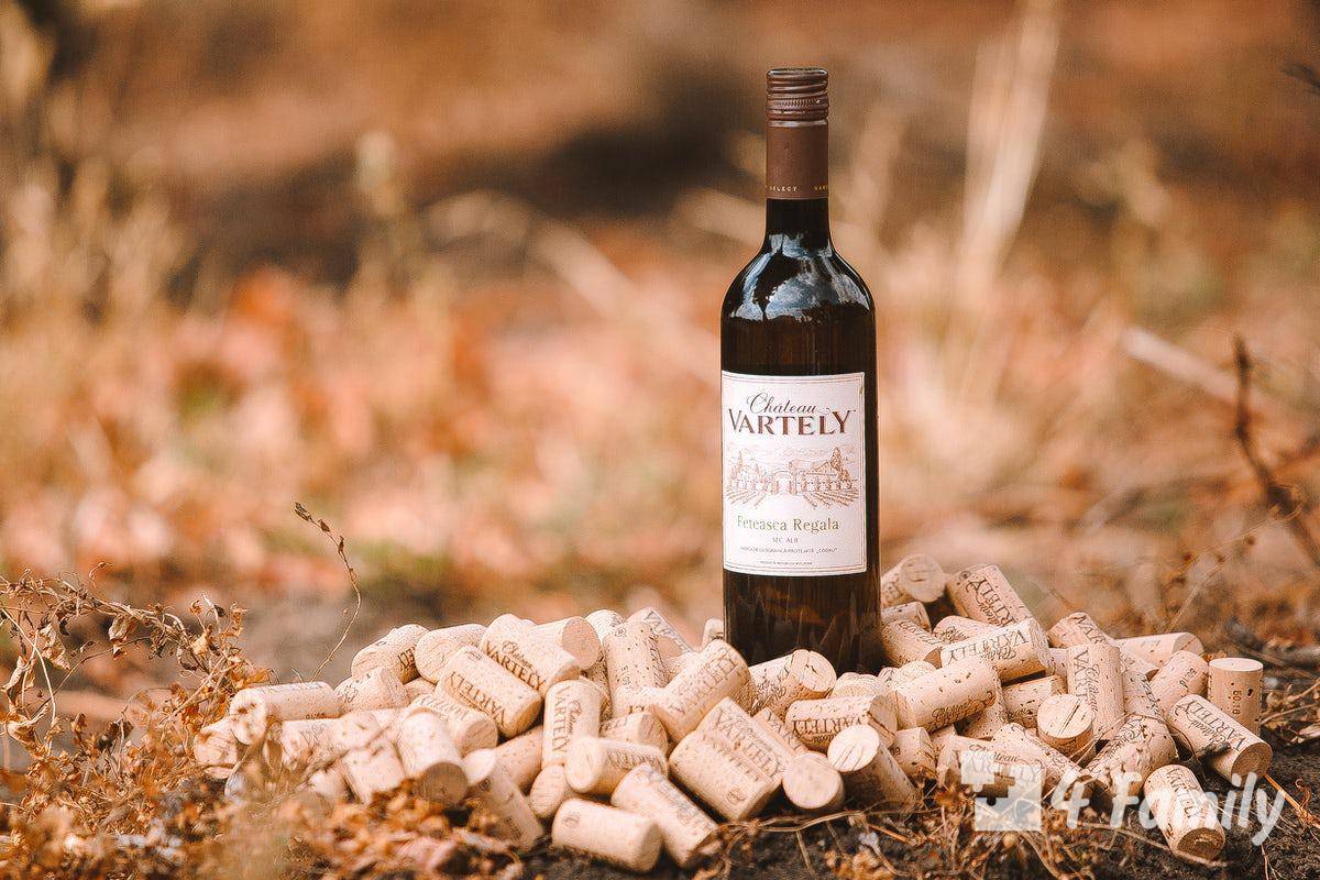 Виноделие в испании: история, этапы развития, сорта и самые популярные марки вин