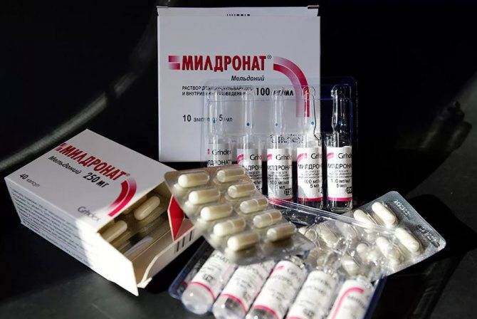 Милдронат в бодибилдинге, как принимать мельдоний