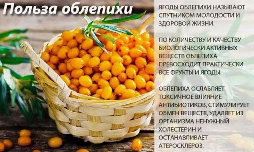Облепиховый сок: польза и вред