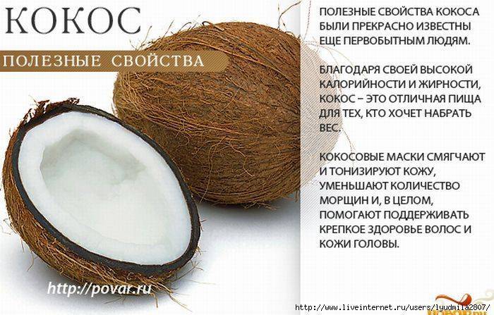 Чем полезен кокос: польза и вред кокосовых орехов