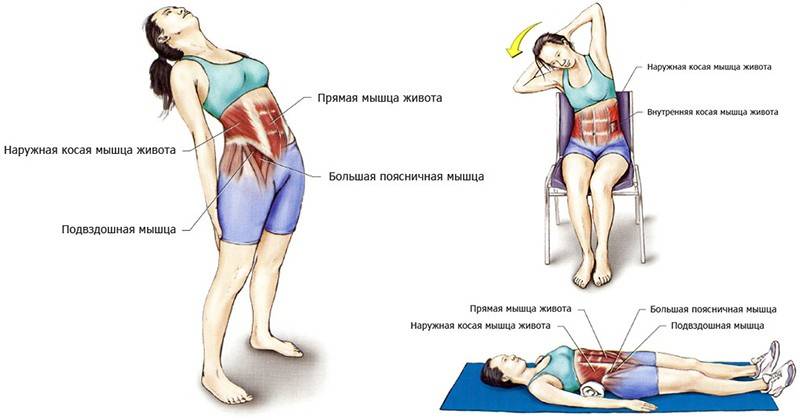 Почему сводит мышцы рук после тренировки