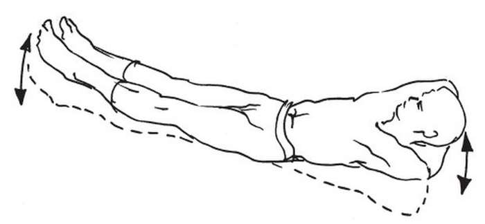 Упражнение для позвоночника золотая рыбка. чтобы спина была гибкая, как у рыбки, выполняйте упражнение золотая рыбка для позвоночника