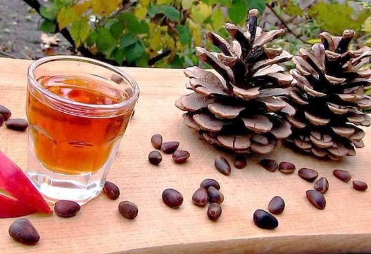 Настойка на кедровых орешках на водке, спирте, самогоне