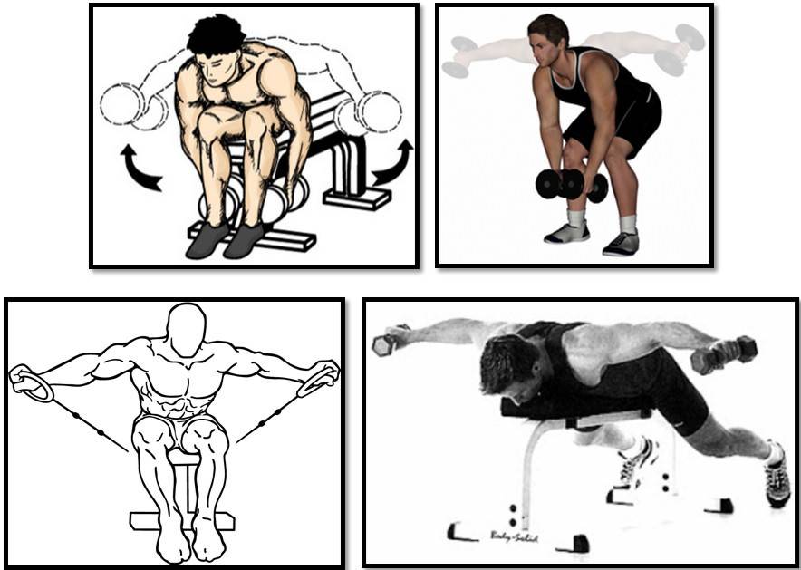 Тонкости упражнения «разведение гантелей в наклоне» – все боевые искусства и единоборства
