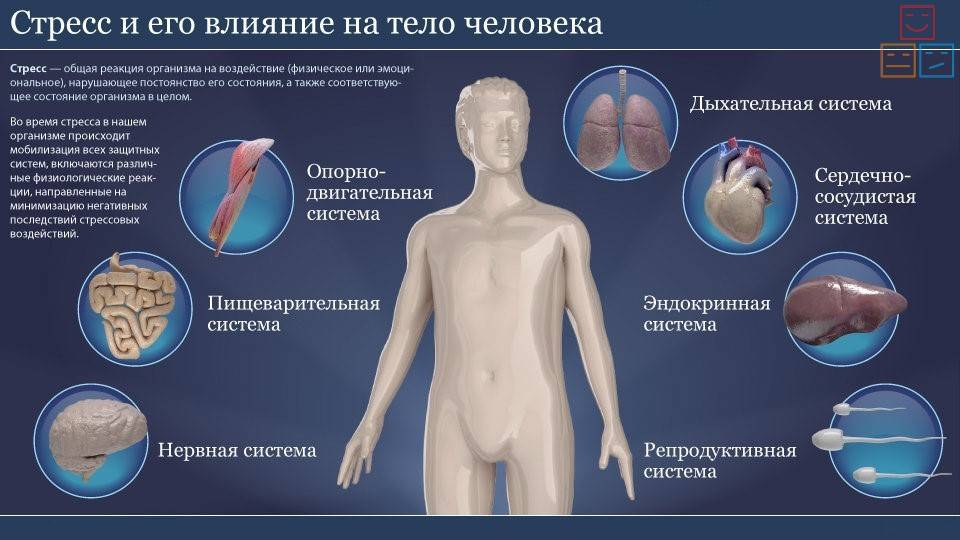 Хронический стресс: симптомы и способы избавления