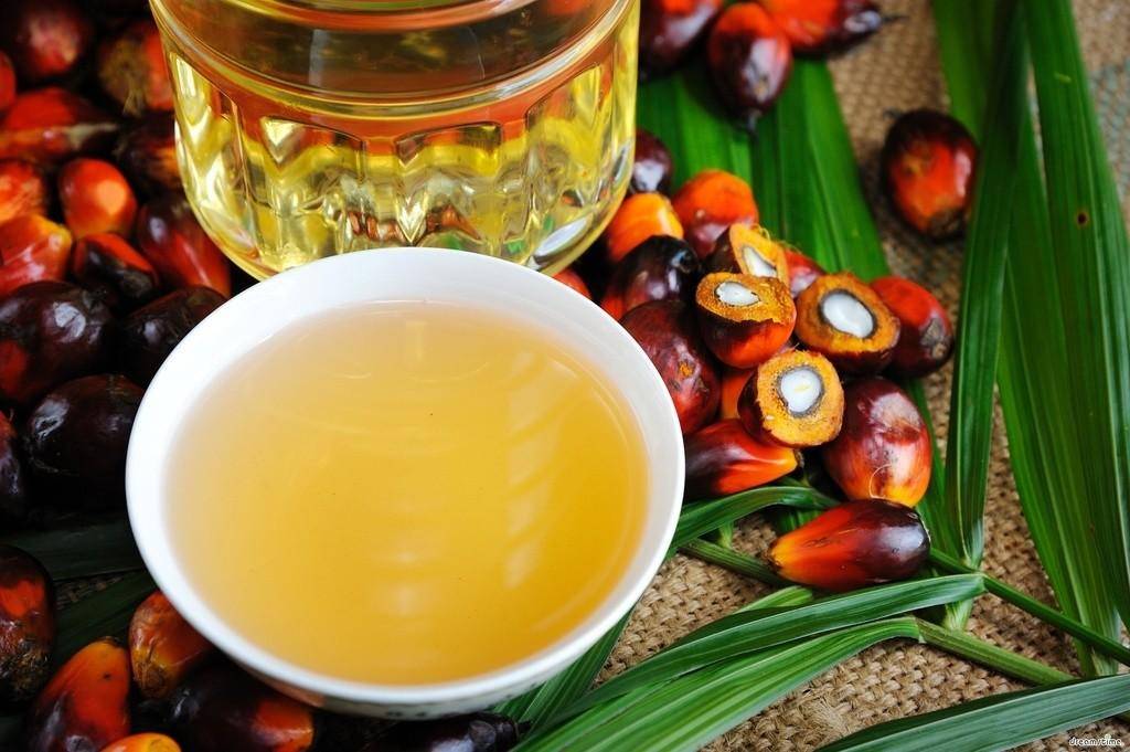 Пальмовое масло: вред и польза для здоровья человека