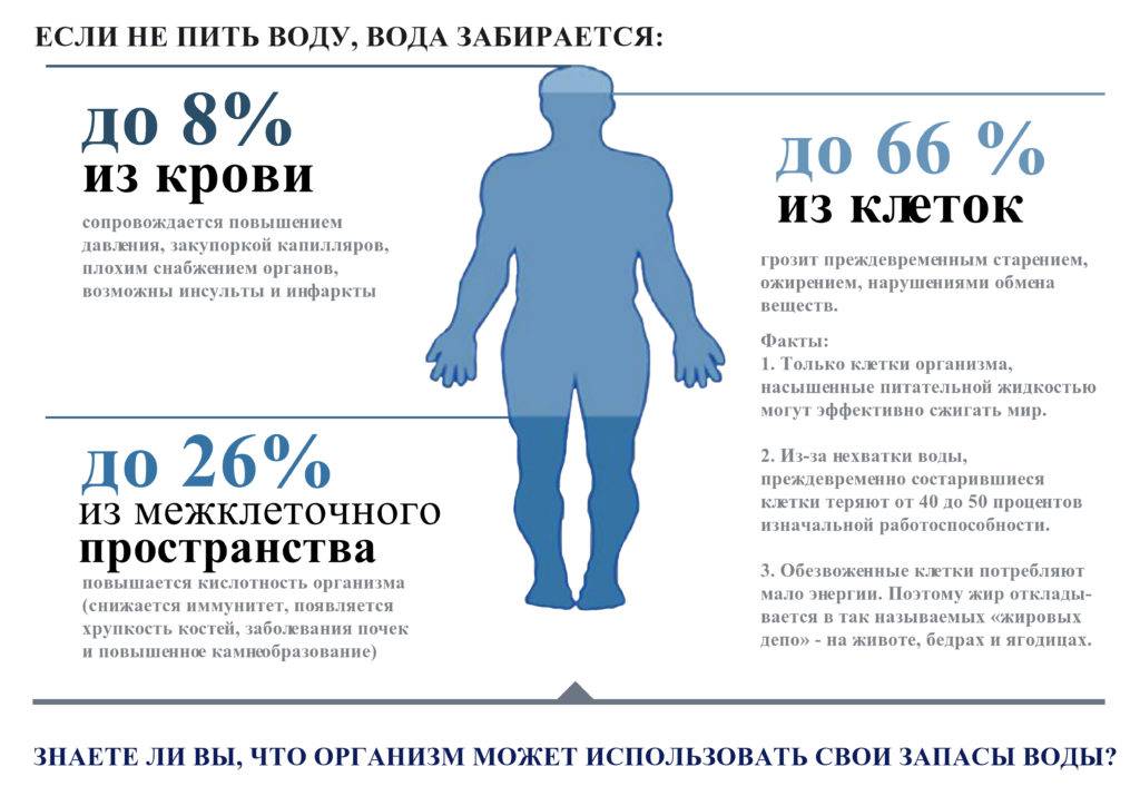 Аптечные препараты для бодибилдинга: на рост мышечной массы и на сушку