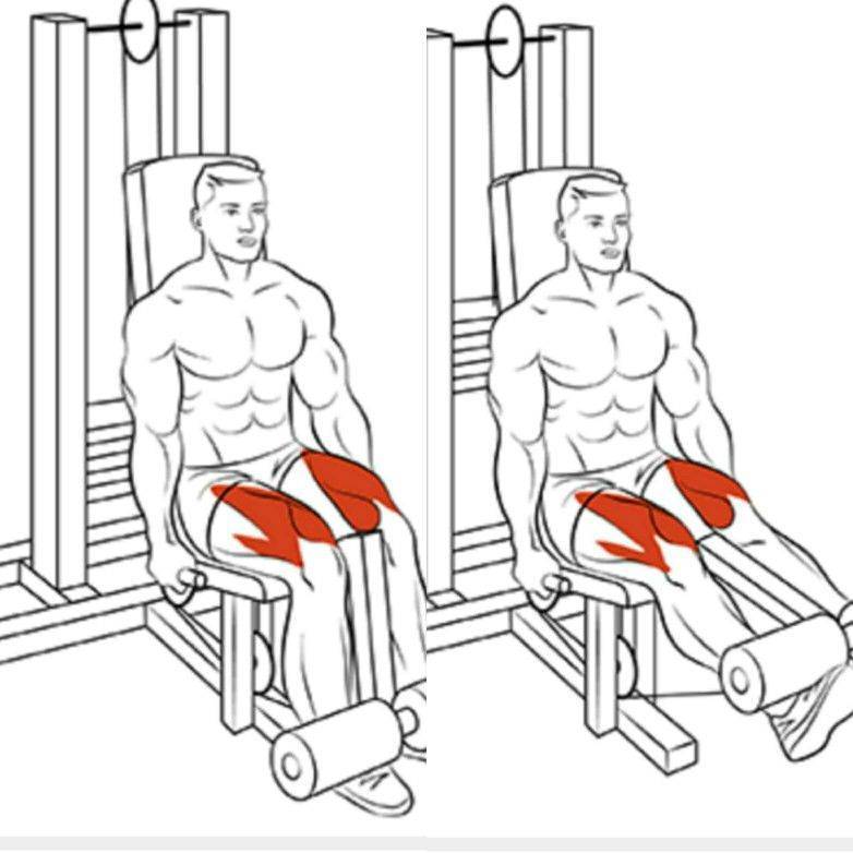 Упражнения на плечи в тренажерном зале: комплекс упражнений, особенности выполнения