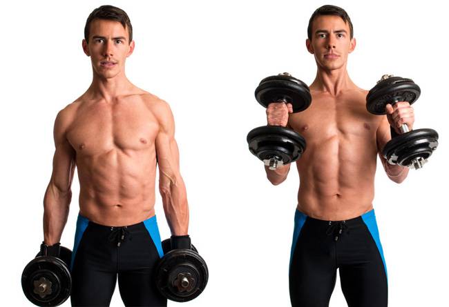 Подъем штанги на бицепс: техника выполнения, ошибки