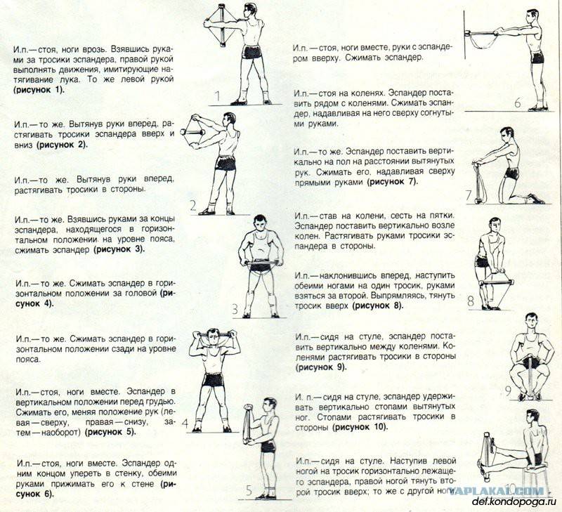 Упражнения с эспандером для мужчин в домашних условиях в картинках пружинным