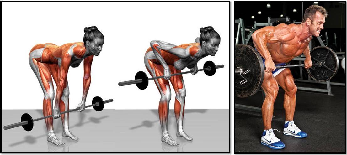 Тяга штанги к подбородку стоя