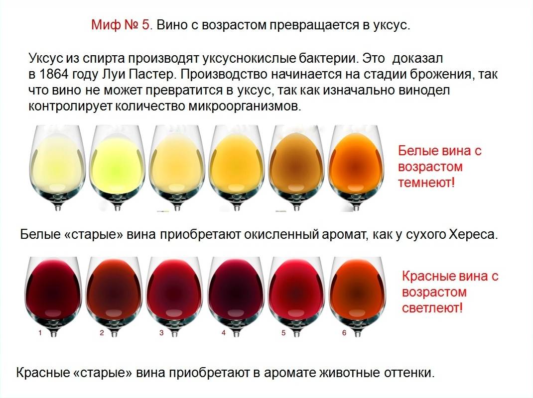Сколько можно и как хранить вино (домашнее, открытое, красное)