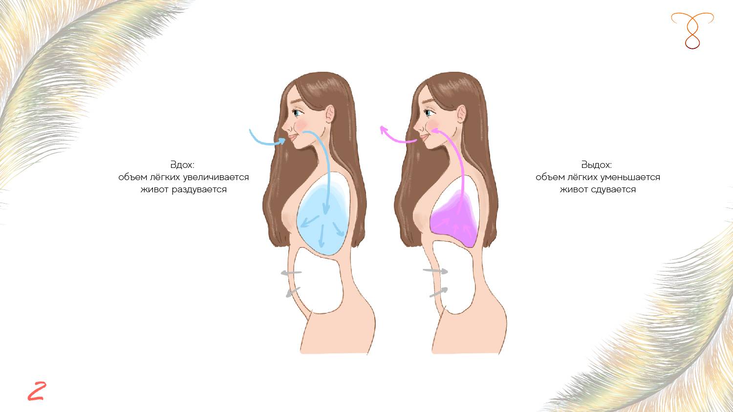 Как правильно дышать: техника правильного дыхания