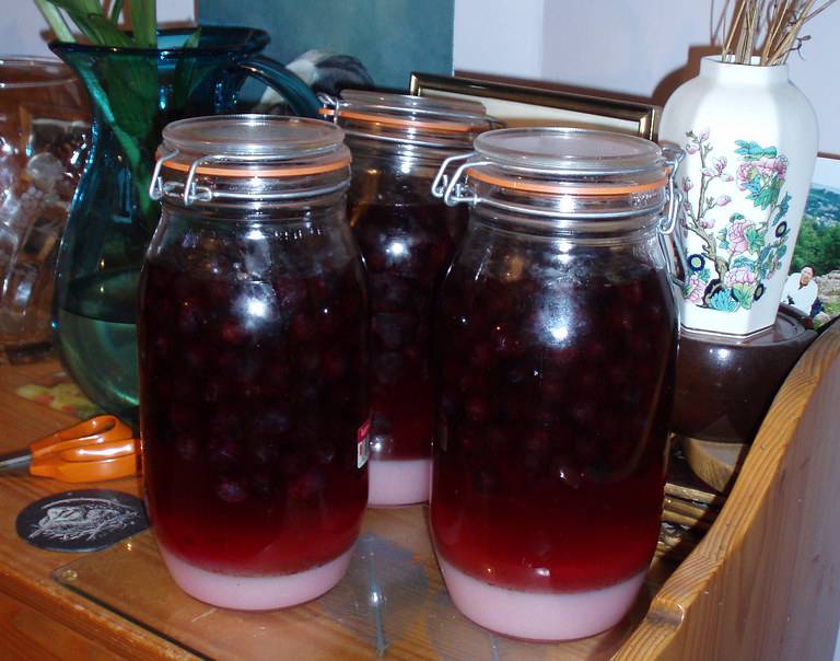 Рецепт приготовления домашней настойки из винограда на водке, самогоне и спирту