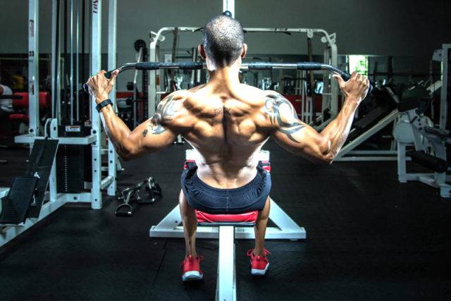 Как накачать крылья: тренировки для зала и в домашних условиях