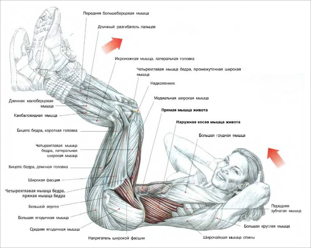 Упражнения на косые мышцы живота: как накачать боковой пресс для мужчин и женщин в домашних условиях или в тренажерном зале
