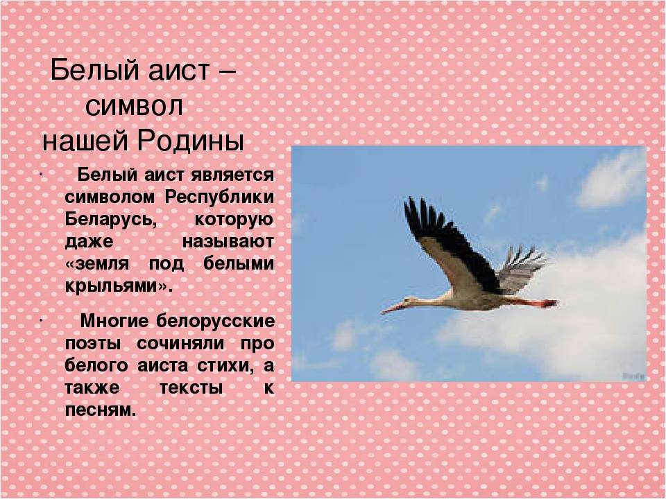 Составьте и запишите план текста из трех пунктов аист у многих народов считается птицей