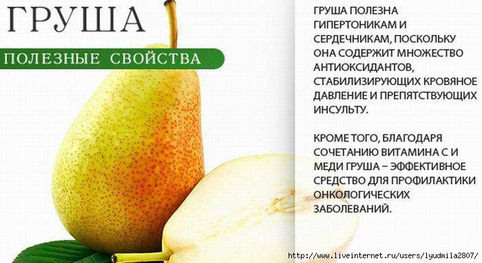 Груши: польза и вред для организма | пища это лекарство