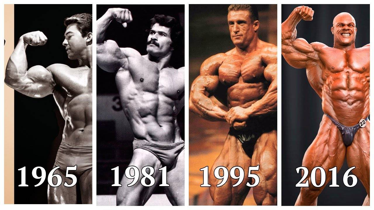 Результаты мистер олимпия 2020: победитель в открытой категории и итоги в других категориях