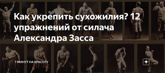 Как развить максимальную силу с помощью упражнений засса?