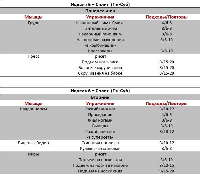Двухдневный сплит на массу для эктоморфа, мезоморфа, эндоморфа