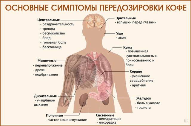 Как кофе влияет на печень
