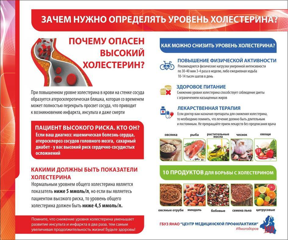 Как быстро понизить холестерин в домашних условиях – 8 способов