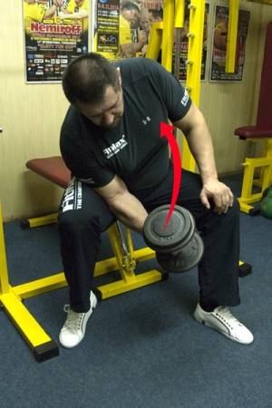 Упражнения для армрестлинга: как развить мышцы и побеждать