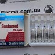 "сустанон 250": свойства, инструкция по применению, эффективность и побочные эффекты