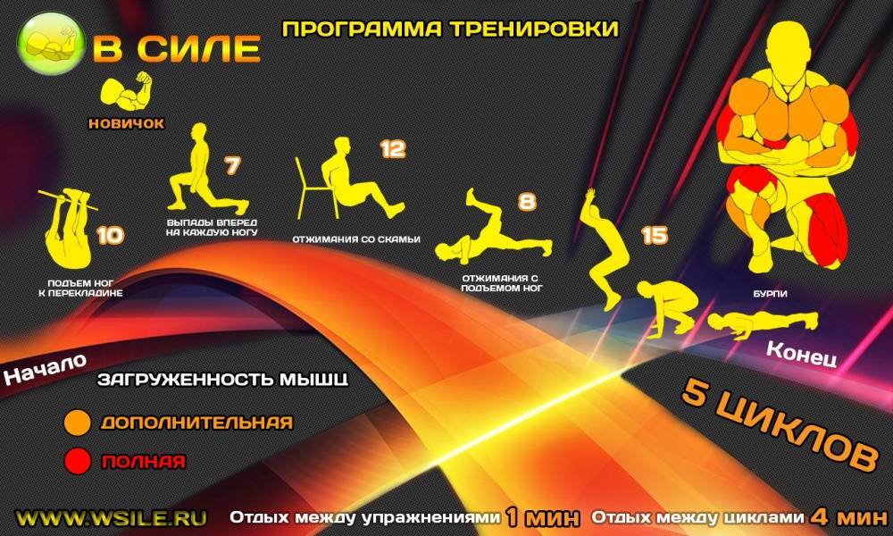 Программа тренировок на силу - правила и упражнения