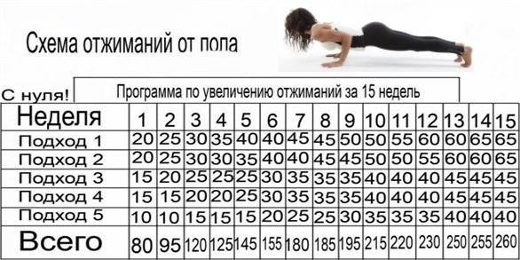 Программа отжиманий от пола: таблица для начинающих мужчин и девушек
