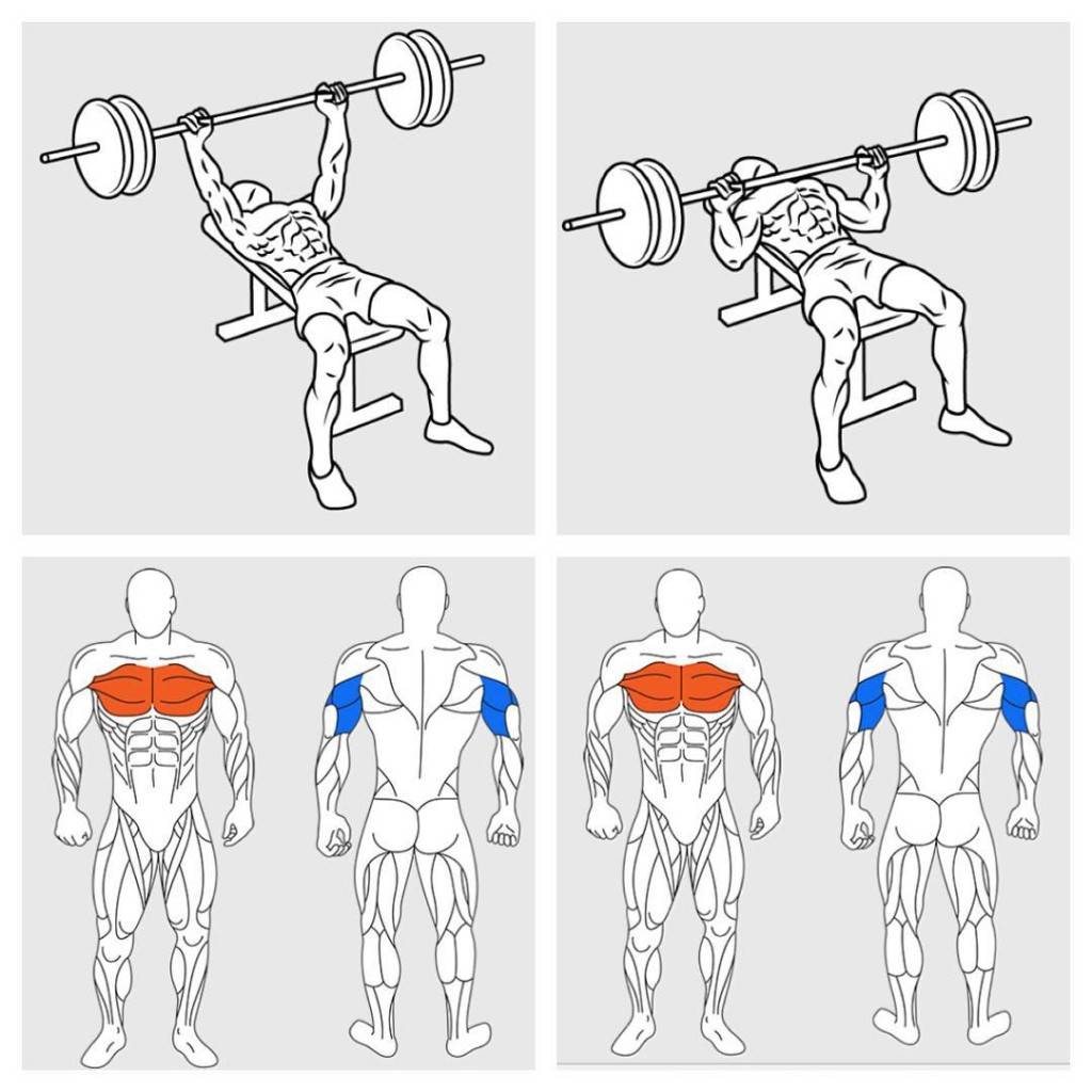 Как накачать крылья в домашних условиях
