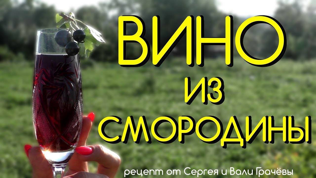 Рецепты домашнего вина, настоек и наливок из черной смородины