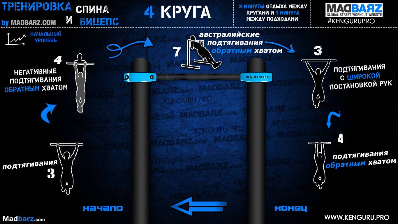 Workout (воркаут): программа тренировок – все боевые искусства и единоборства