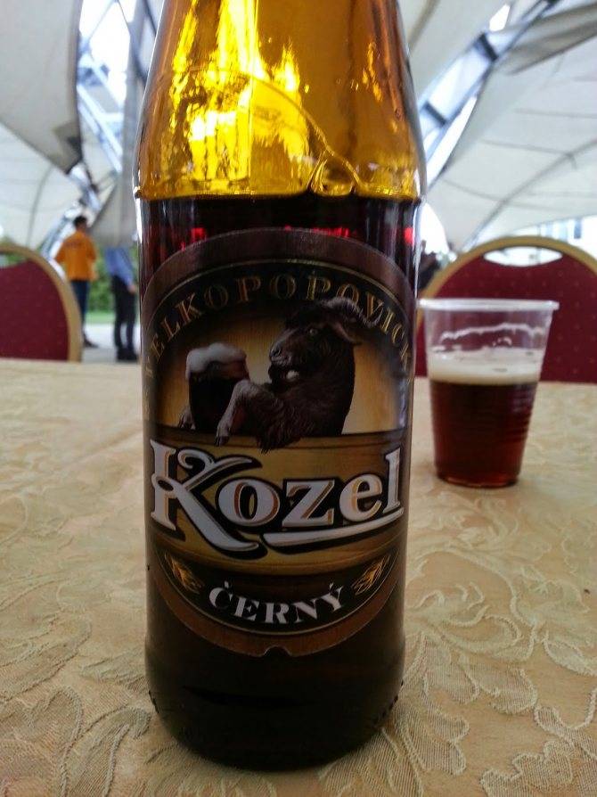 Велкопоповицкий козел: обзор великолепного чешского пива
